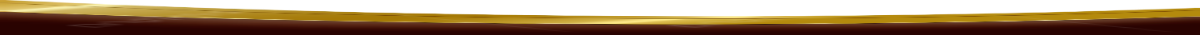 pngtree-brown-gold-line-shape-banner-curves-png-image_13260260.png